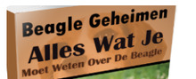 Beagle Geheimen merklogo voor beoordelingen van Overige diensten